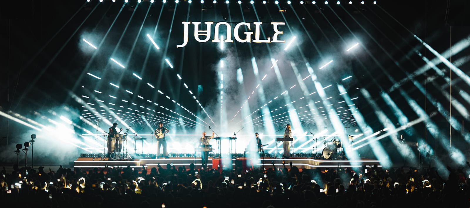 Jungle